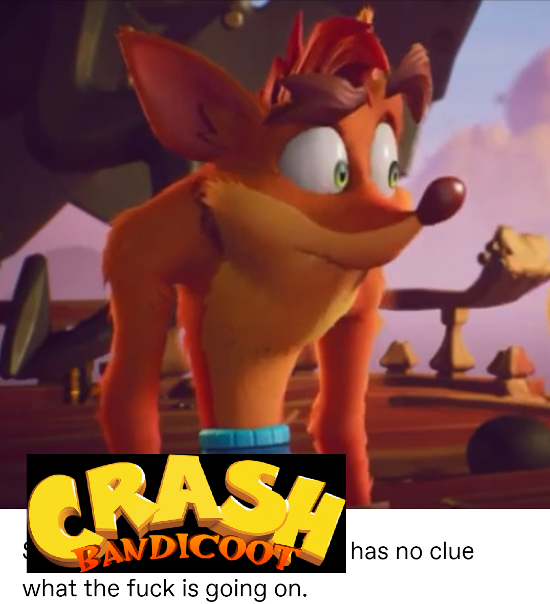 crash bandicoot has no idea 
what the fuck is happening